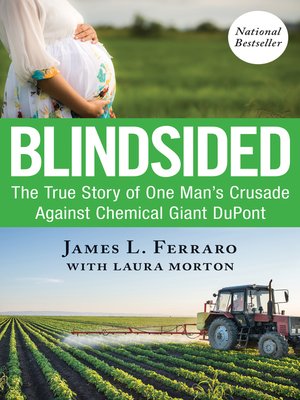 cover image of Blindsided